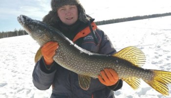 Рыбак из Пермского края поймал в ХМАО крупную рыбу